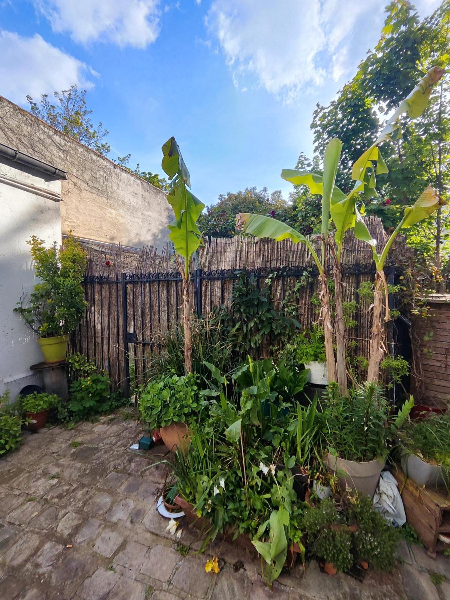 Charming Parisian Studio! 塞纳河畔伊夫里 外观 照片